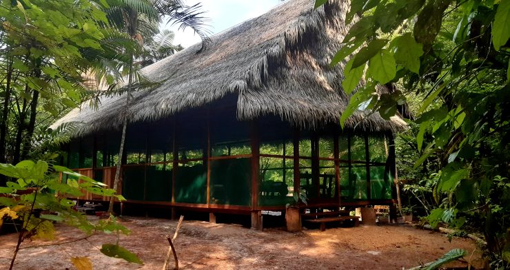 Magical Shamanic Holistic retreat in the  Amazon Rainforest in Peru