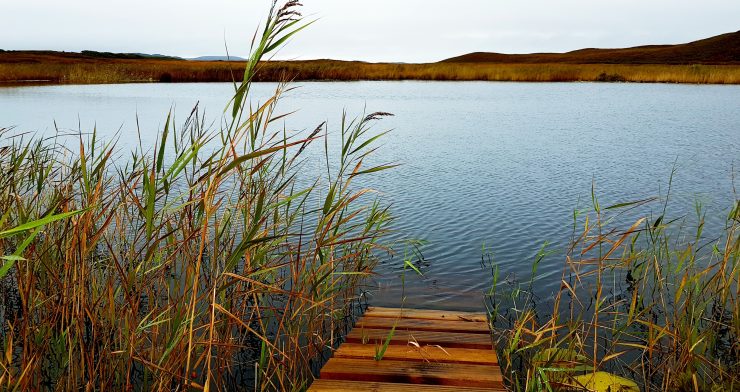 Hazelwoods Eco Retreat Hut, Isle of Mull - for solo retreats and couples