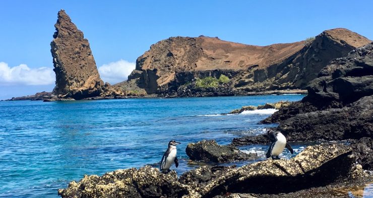 Galapagos Islands, Natural World Heritage Site & Biosphere Reserve