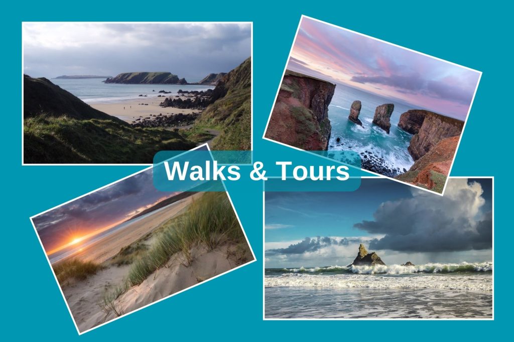 Walks & Tours