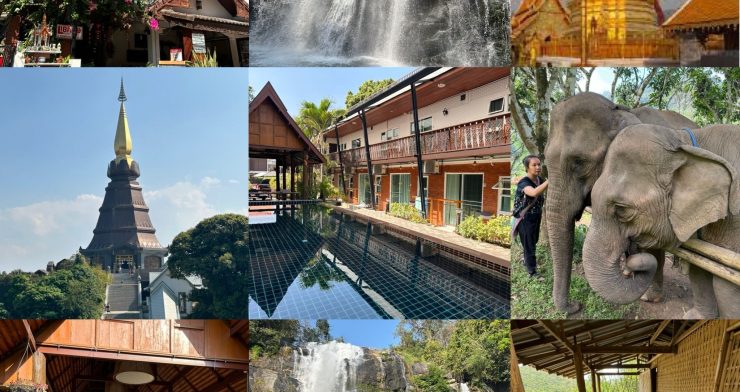 7 Night Spectacular Healing Yoga Retreat in Chiang Mai, Thailand