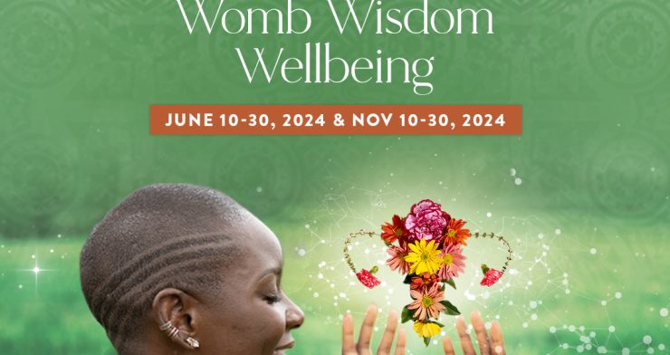 200hrs YTT Womb Wisdom Wellbeing Training