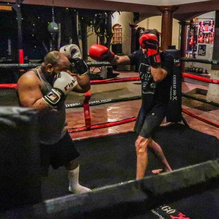 Boxing Sparring