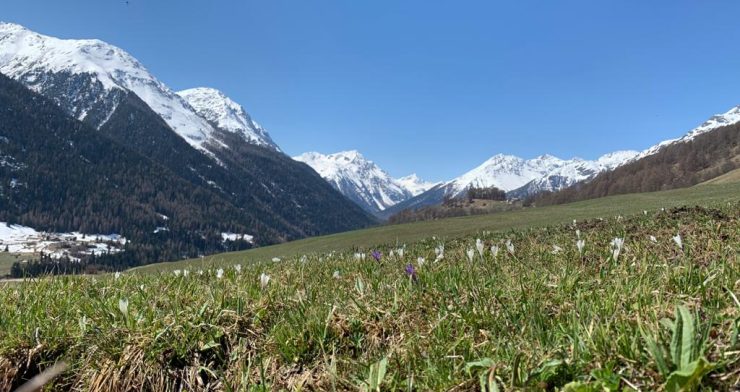 One-on-One Private Counseling Retreat in the Swiss Alps 