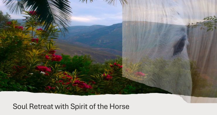 Soul Retreat with Spirit of the Horse