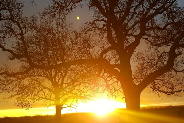 Sunrise at Shaman's Retreat