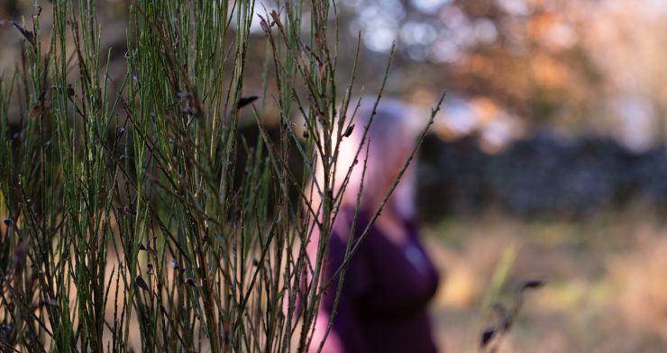 Healing the Motherline retreat