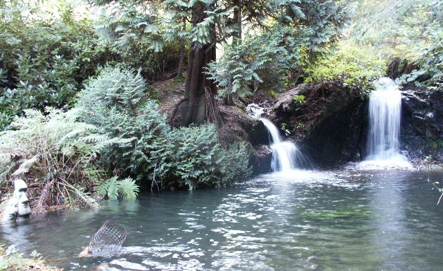 Woodland Waterfalls Glamping. Mature forest/15 benches/waterfalls & streams